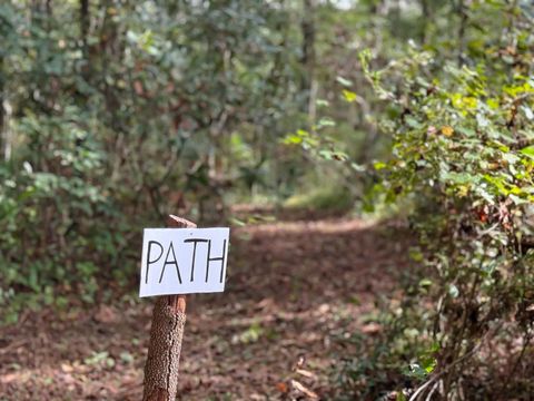 Tiny photo for 4446 Char Augusta Road, Bamberg, SC 29003 (MLS # 220748)