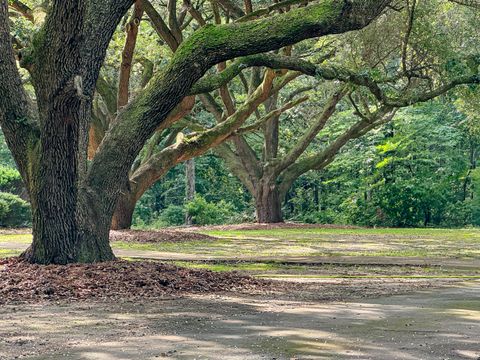 Tiny photo for 4446 Char Augusta Road, Bamberg, SC 29003 (MLS # 220748)