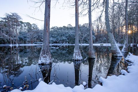 Tiny photo for 4446 Char Augusta Road, Bamberg, SC 29003 (MLS # 220748)