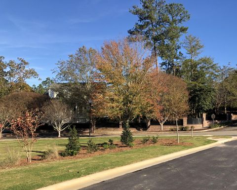 Tiny photo for 367 Pascalis Place #Lot 2003 (B3), Aiken, SC 29803 (MLS # 222130)