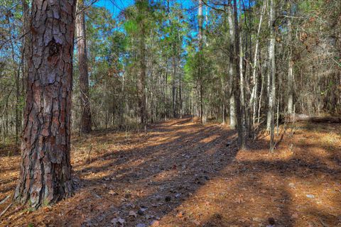 Tiny photo for 1066 Pine Point Lane, Lincolnton, GA 30817 (MLS # 220526)