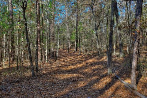 Tiny photo for 1066 Pine Point Lane, Lincolnton, GA 30817 (MLS # 220526)