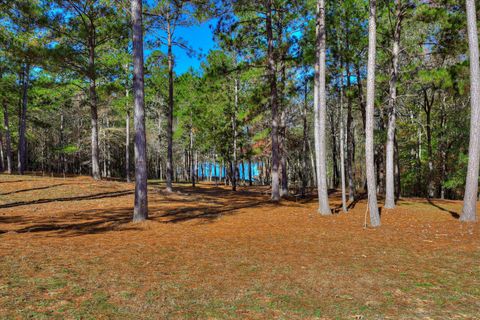 Tiny photo for 1066 Pine Point Lane, Lincolnton, GA 30817 (MLS # 220526)