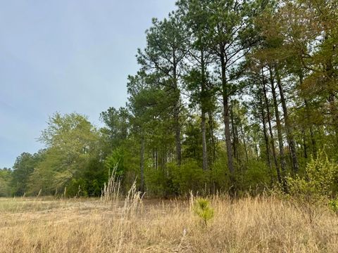 Photo of 0 Goose Platter Road, Monetta, SC 29105 (MLS # 222683)