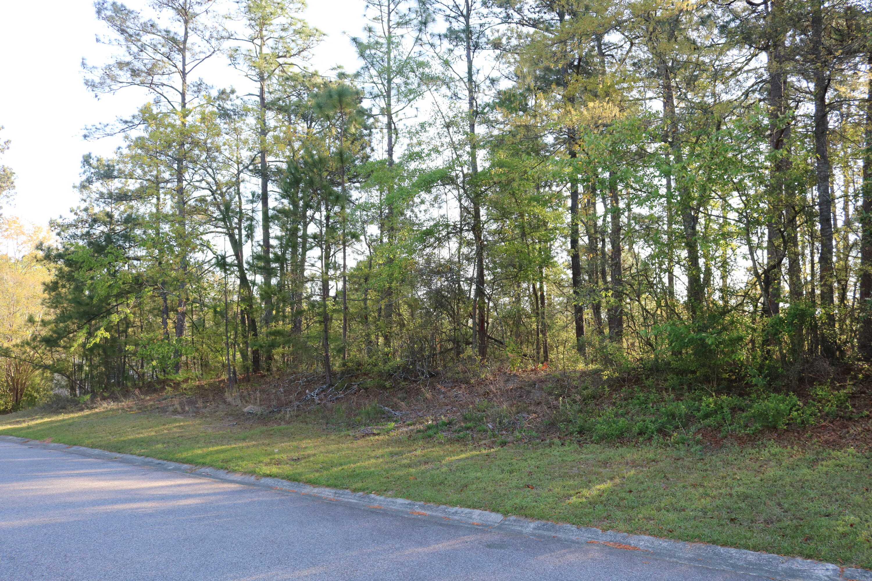 80 Hemlock Court
