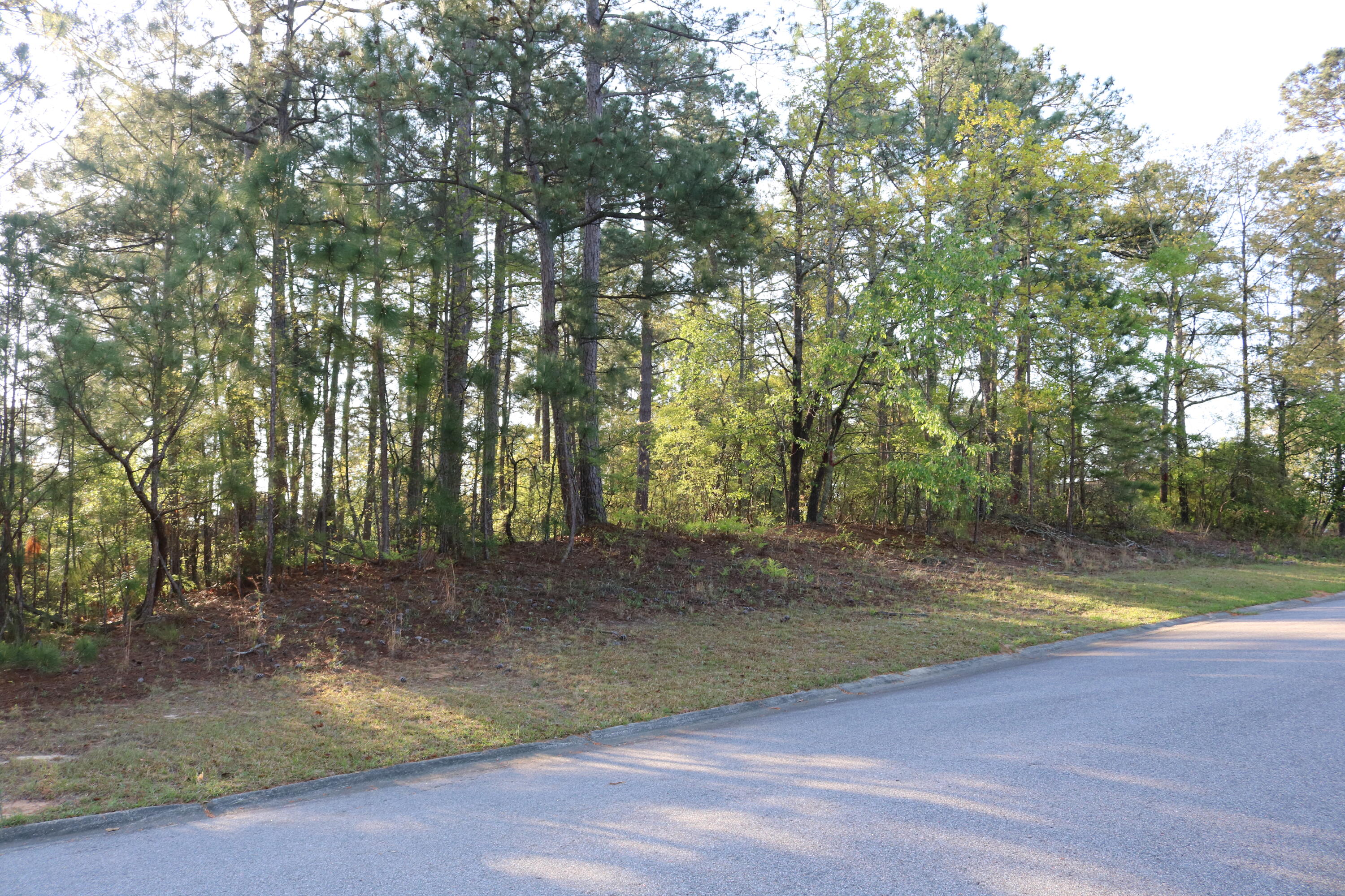80 Hemlock Court