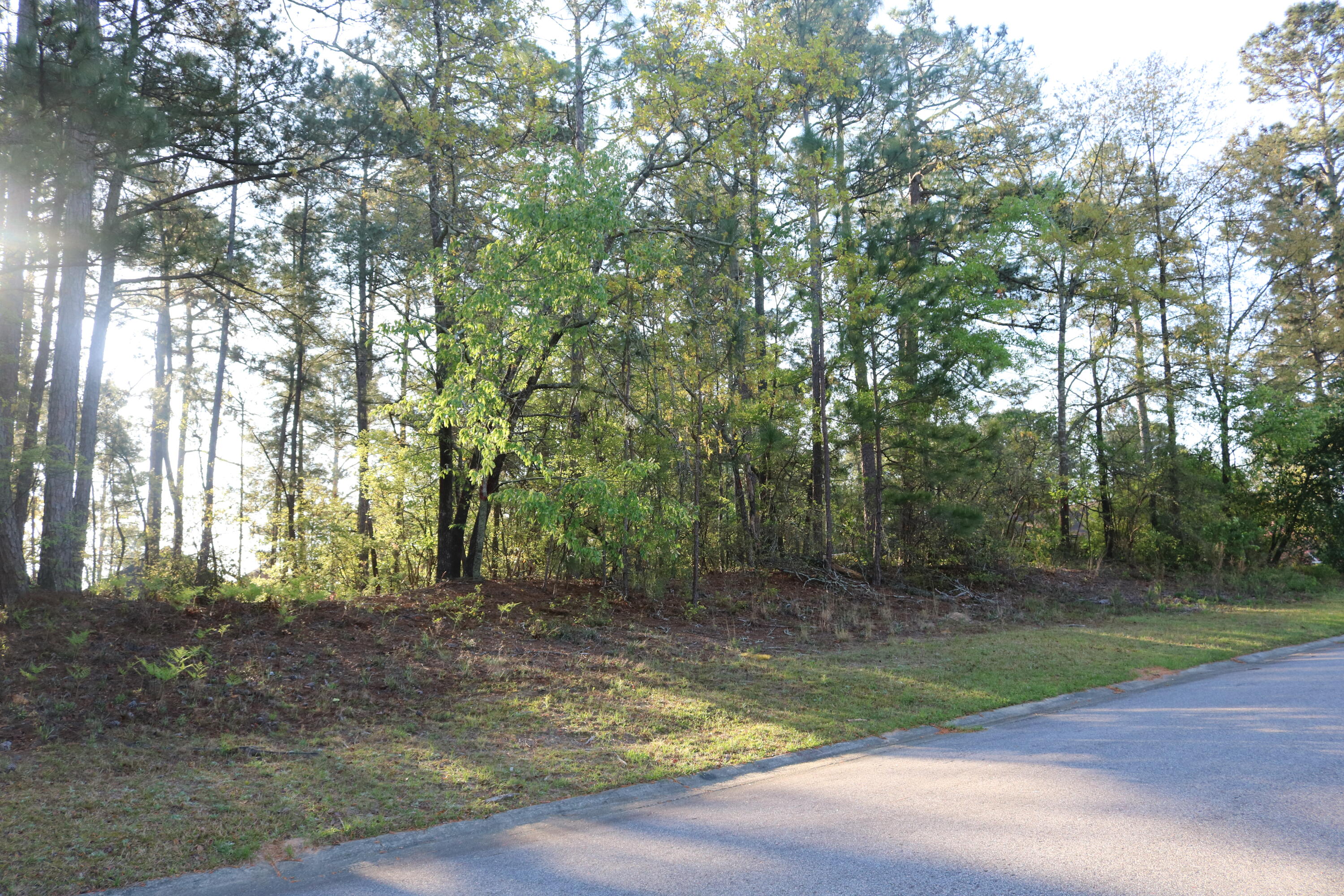 80 Hemlock Court