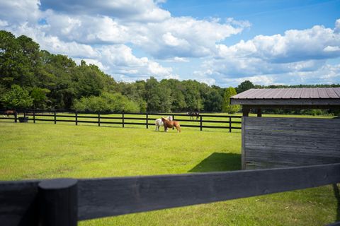 Tiny photo for 1165 Estancia Lane, Wagener, SC 29164 (MLS # 220135)