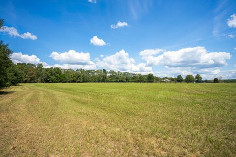 Tiny photo for 1165 Estancia Lane, Wagener, SC 29164 (MLS # 220135)