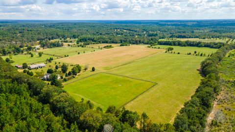 Tiny photo for 1165 Estancia Lane, Wagener, SC 29164 (MLS # 220135)