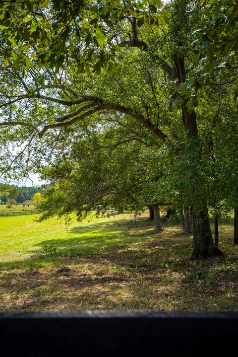 Tiny photo for 1165 Estancia Lane, Wagener, SC 29164 (MLS # 220135)