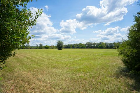 Tiny photo for 1165 Estancia Lane, Wagener, SC 29164 (MLS # 220135)
