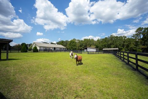 Tiny photo for 1165 Estancia Lane, Wagener, SC 29164 (MLS # 220135)