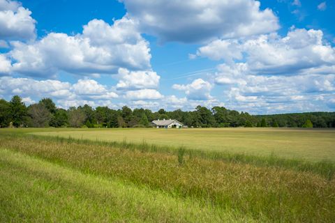 Tiny photo for 1165 Estancia Lane, Wagener, SC 29164 (MLS # 220135)