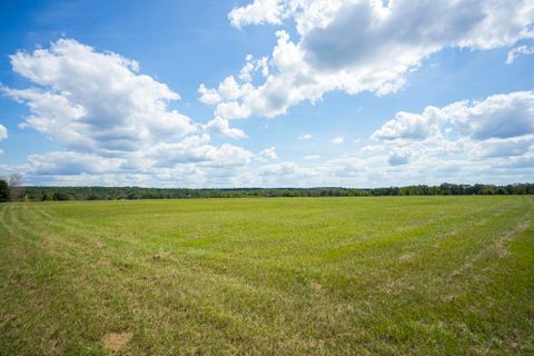 Tiny photo for 1165 Estancia Lane, Wagener, SC 29164 (MLS # 220135)