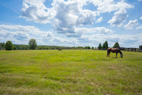 Tiny photo for 1165 Estancia Lane, Wagener, SC 29164 (MLS # 220135)