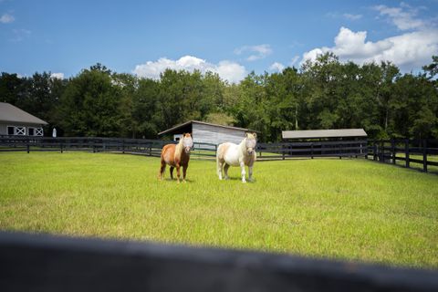 Tiny photo for 1165 Estancia Lane, Wagener, SC 29164 (MLS # 220135)