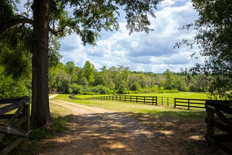 Tiny photo for 1165 Estancia Lane, Wagener, SC 29164 (MLS # 220135)