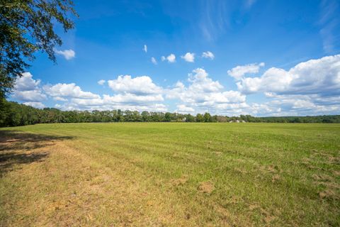 Tiny photo for 1165 Estancia Lane, Wagener, SC 29164 (MLS # 220135)