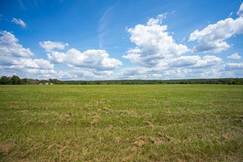 Tiny photo for 1165 Estancia Lane, Wagener, SC 29164 (MLS # 220135)