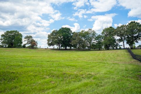 Tiny photo for 1165 Estancia Lane, Wagener, SC 29164 (MLS # 220135)