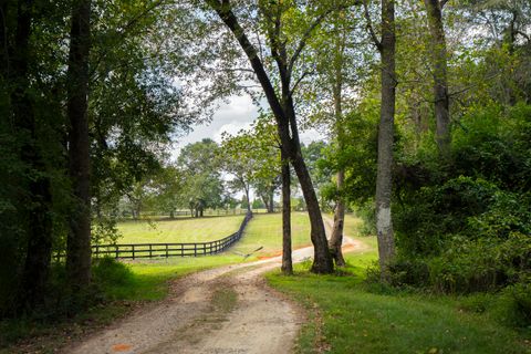 Tiny photo for 1165 Estancia Lane, Wagener, SC 29164 (MLS # 220135)