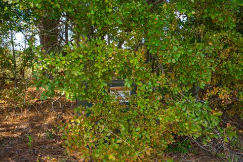 Tiny photo for 1165 Estancia Lane, Wagener, SC 29164 (MLS # 220135)