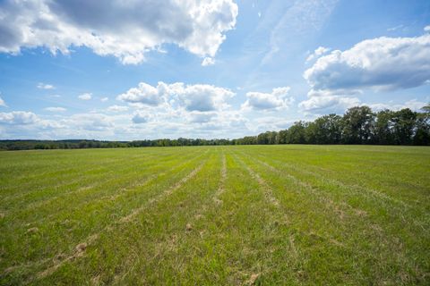 Tiny photo for 1165 Estancia Lane, Wagener, SC 29164 (MLS # 220135)