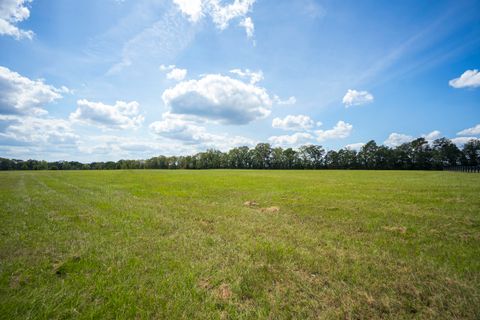Tiny photo for 1165 Estancia Lane, Wagener, SC 29164 (MLS # 220135)