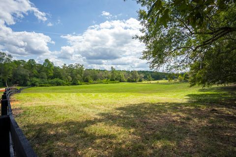 Tiny photo for 1165 Estancia Lane, Wagener, SC 29164 (MLS # 220135)
