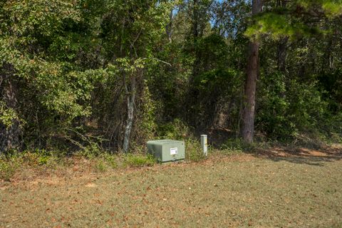 Tiny photo for 1165 Estancia Lane, Wagener, SC 29164 (MLS # 220135)