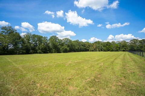 Tiny photo for 1165 Estancia Lane, Wagener, SC 29164 (MLS # 220135)