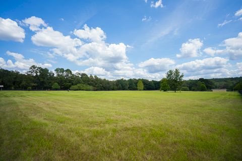 Tiny photo for 1165 Estancia Lane, Wagener, SC 29164 (MLS # 220135)