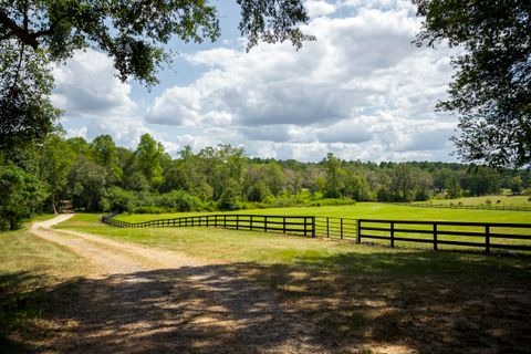 Tiny photo for 1165 Estancia Lane, Wagener, SC 29164 (MLS # 220135)