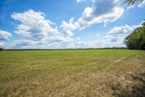 Tiny photo for 1165 Estancia Lane, Wagener, SC 29164 (MLS # 220135)