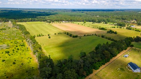 Tiny photo for 1165 Estancia Lane, Wagener, SC 29164 (MLS # 220135)