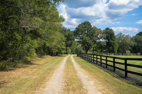 Tiny photo for 1165 Estancia Lane, Wagener, SC 29164 (MLS # 220135)