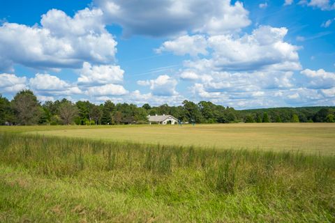 Tiny photo for 1165 Estancia Lane, Wagener, SC 29164 (MLS # 220135)