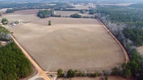 Agriculture in Wagener SC 0 Bodie  & Quattlebaum Road.jpg