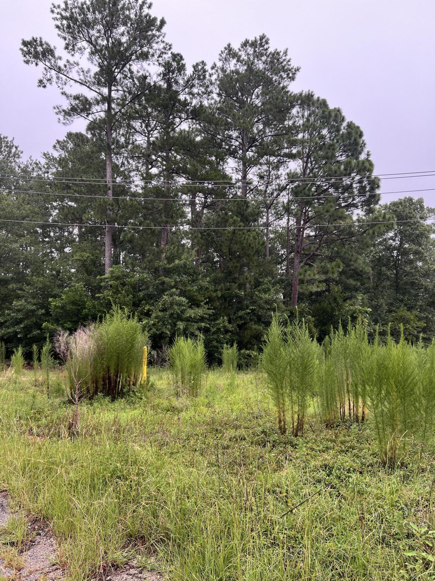 Tract A Varden Drive