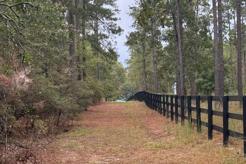 Tiny photo for 307 Fox Tail Court, Aiken, SC 29803 (MLS # 219901)