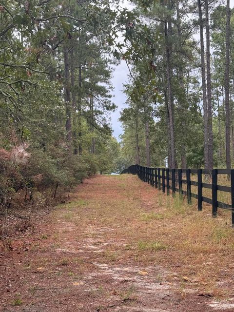 Tiny photo for 307 Fox Tail Court, Aiken, SC 29803 (MLS # 219901)