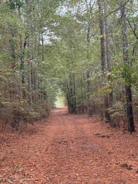 Tiny photo for 307 Fox Tail Court, Aiken, SC 29803 (MLS # 219901)