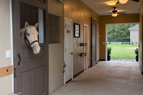 Tiny photo for 307 Fox Tail Court, Aiken, SC 29803 (MLS # 219901)