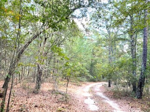 Tiny photo for 5953 Festival Trail Road, Salley, SC 29137 (MLS # 220209)