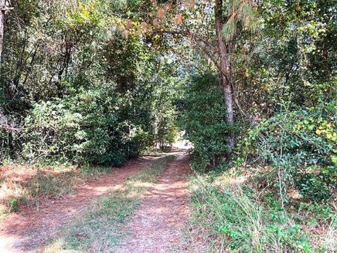 Tiny photo for 5953 Festival Trail Road, Salley, SC 29137 (MLS # 220209)