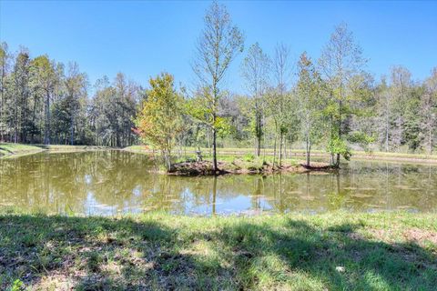Tiny photo for 1488 Hatchaway Bridge Road, Aiken, SC 29801 (MLS # 203758)