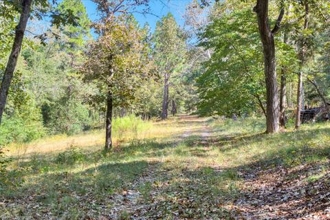 Tiny photo for 1488 Hatchaway Bridge Road, Aiken, SC 29801 (MLS # 203758)