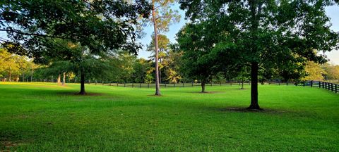 Tiny photo for 764 Blue Roan Court, Warrenville, SC 29851 (MLS # 215166)