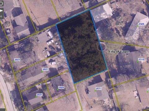 Photo of 2815 Tree Street, Cayce, SC 29033 (MLS # 223346)